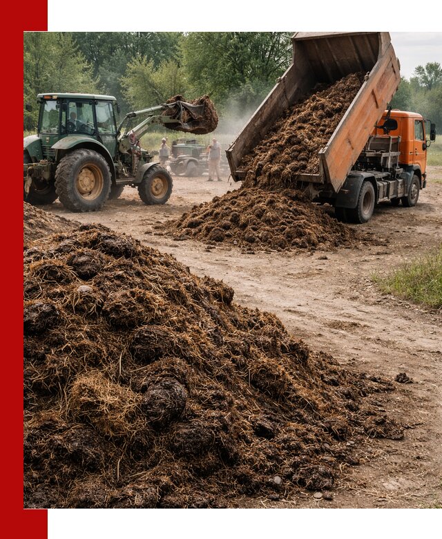 Доставка навоза самосвалами в Абакане для сельхозпотребностей