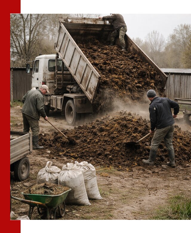Доставка коровьего навоза самосвалом в Абакане